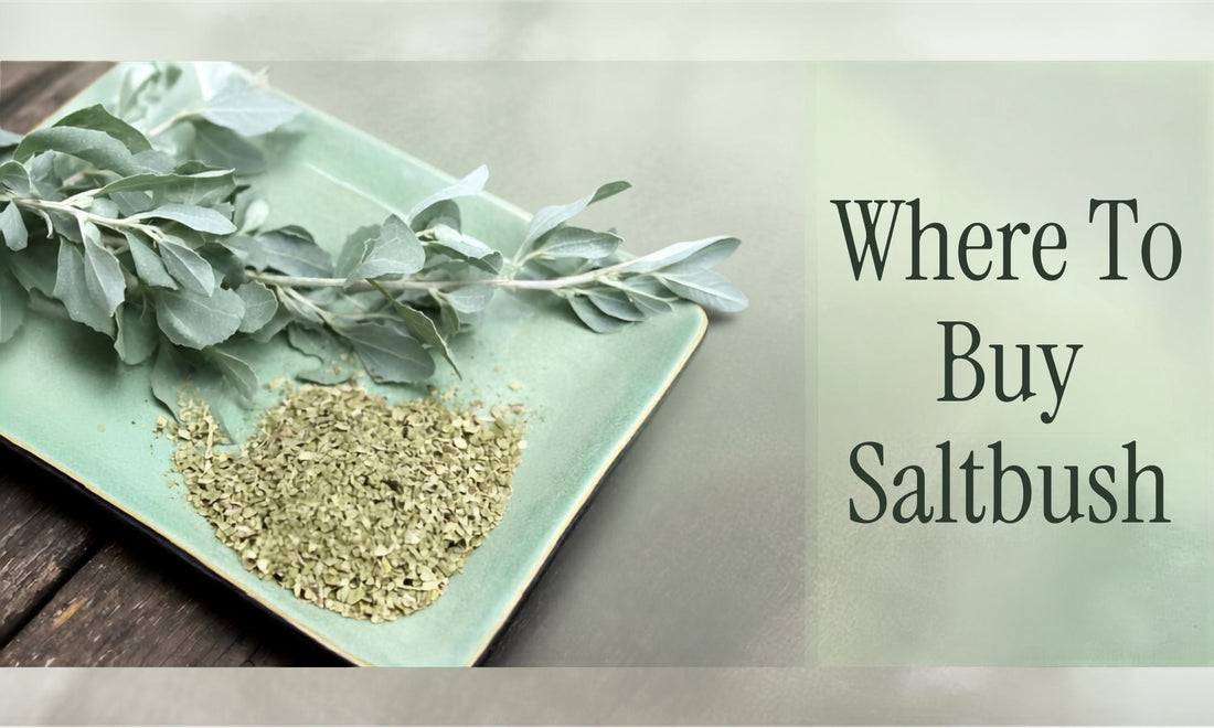 Where to buy saltbush in Australia — dried Old Man Saltbush from Terrablendz, Sunshine Coast Queensland