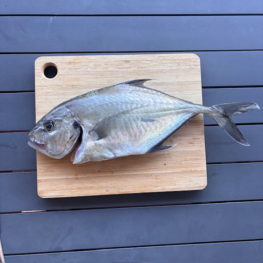 Best Fish to Eat: A Guide to Choosing Quality and Flavour